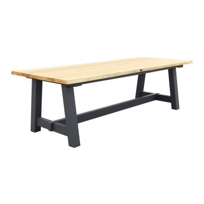 Prato teak boomstamtafel 250 x 100 cm.