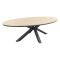 GI Edison ovale houtlook tuintafel 220x115 cm.