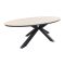 GI Edison ovale houtlook tuintafel 280x140 cm.