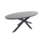 Ventaro ovale tuintafel 240x115 cm. - Donker grijs