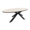 GI Edison ovale houtlook tuintafel 280x140 cm.